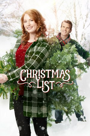 Christmas List, Alicia Witt, Gabriel Hogan, Peter Benson, Wanda Cannon, Christine Chatelain, Chance Hurstfield, Doug Abrahams, Kathryn Kirkpatrick, Lina Renna, Karly Warkentin