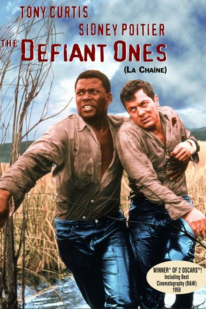 Flucht in Ketten, Tony Curtis,Sidney Poitier,Theodore Bikel,Cara Williams,Charles McGraw,Lon Chaney Jr.,King Donovan,Claude Akins,Lawrence Dobkin,Whit Bissell