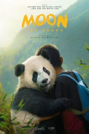 Moon, der Panda, Liu Ye,Noé Yé,Nina Ye