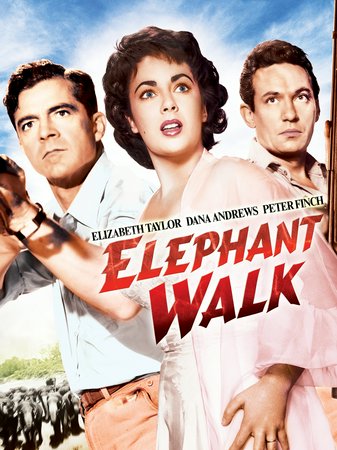 Elefantenpfad, Elizabeth Taylor,Dana Andrews,Peter Finch,Abraham Sofaer,Abner Biberman,Noel Drayton,Rosalind Ivan,Barry Bernard,Philip Tonge,Edward Ashley