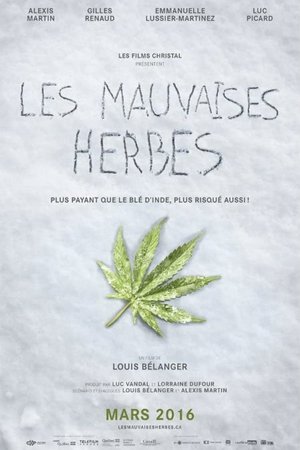 Les Mauvaises Herbes, 