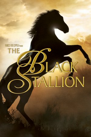 Der schwarze Hengst, Kelly Reno,Mickey Rooney,Teri Garr,Clarence Muse,Hoyt Axton,Michael Higgins,Doghmi Larbi,Ed McNamara,John Burton,John Buchanan