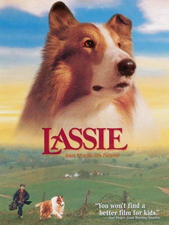Lassie - Freunde fürs Leben, Helen Slater,Jon Tenney,Frederic Forrest,Richard Farnsworth,Brittany Boyd,Joe Inscoe,Yvonne Brisendine,Jody Smith Strickler,Margaret Peery,Michelle Williams