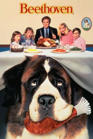 Ein Hund namens Beethoven, Charles Grodin,Bonnie Hunt,Dean Jones,Nicholle Tom,Christopher Castile,Sarah Rose Karr,Oliver Platt,Stanley Tucci,David Duchovny,Patricia Heaton