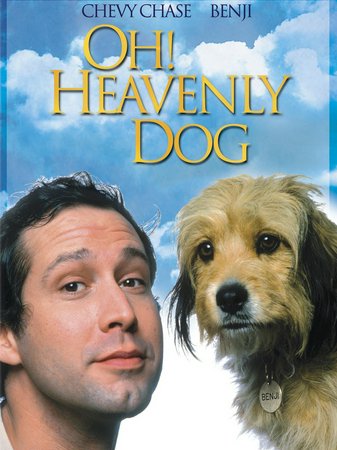 Oh, himmlischer Hund, Chevy Chase, Jane Seymour, Omar Sharif, Robert Morley, Alan Sues, Donnelly Rhodes, John Stride, Barbara Leigh-Hunt, Frank Williams, Albin Pahernik