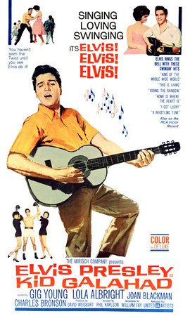 Harte Fäuste, heiße Liebe, Elvis Presley,Gig Young,Lola Albright,Charles Bronson,Joan Blackman,Ned Glass,Robert Emhardt,Michael Dante,Judson Pratt,George Mitchell