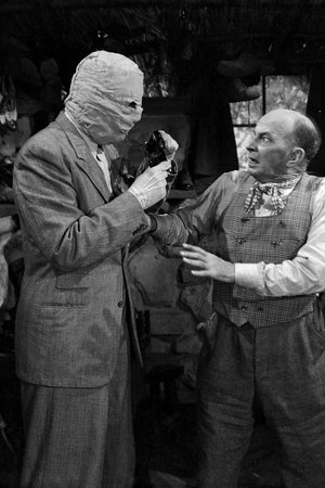 Der Unsichtbare nimmt Rache, Jon Hall,Alan Curtis,Evelyn Ankers,John Carradine,Leon Errol,Doris Lloyd,Gale Sondergaard,Lester Matthews,Halliwell Hobbes,Leyland Hodgson