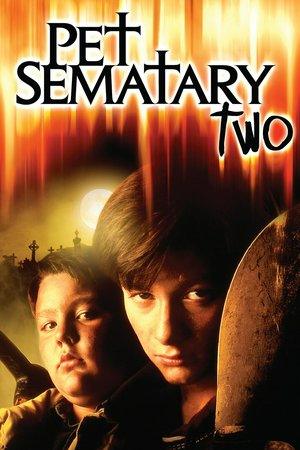 Friedhof der Kuscheltiere 2, Edward Furlong,Anthony Edwards,Clancy Brown,Jared Rushton,Darlanne Fluegel,Lisa Waltz,Jason McGuire,Sarah Trigger,Jim Peck,David Ratajczak