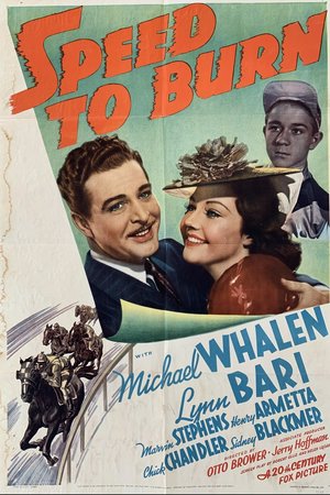 Speed to Burn, Michael Whalen,Lynn Bari,Marvin Stephens,Henry Armetta,Chick Chandler,Sidney Blackmer,John Pirrone,Charles D. Brown,Inez Palange